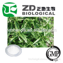 andrographis paniculata powder 98% to make capsule